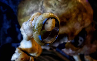Human Bone Rings - Glow Rings by Artist Daniel Rosini